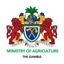 Gambian Government